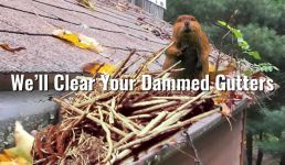 We'll clean your dammed gutters